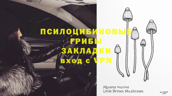 прущие грибы Алзамай