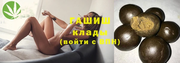 прущие грибы Алзамай