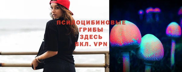 стафф Алексеевка