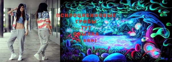 прущие грибы Алзамай